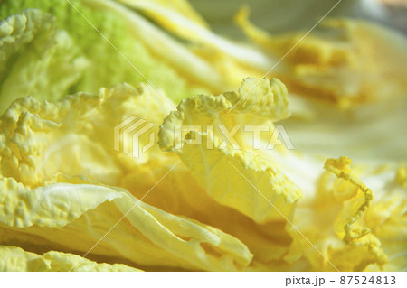 干し野菜(白菜) 干し野菜(白菜) 87524813