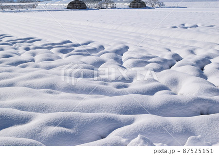 雪が積もった水田 山形県 87525151