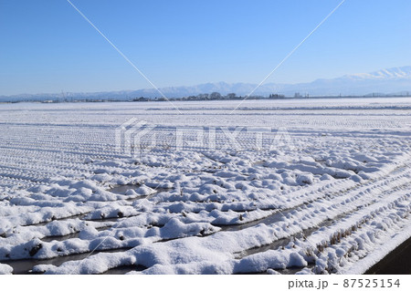雪が積もった水田 山形県 87525154