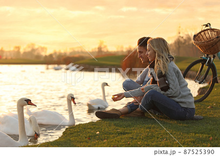Young couple near lake with swans at sunset. Perfect place for picnic Young couple near lake with swans at sunset. Perfect place for picnic 87525390