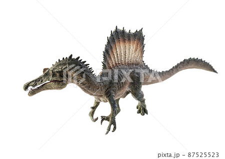 Spinosaurus , dinosaur on white background . 87525523