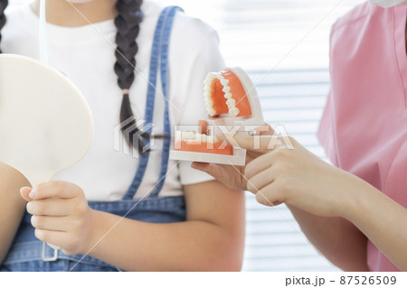 歯科で歯磨きの指導を受ける女の子 87526509