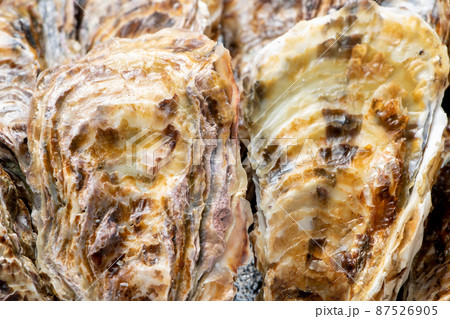 殻付き牡蠣。 87526905