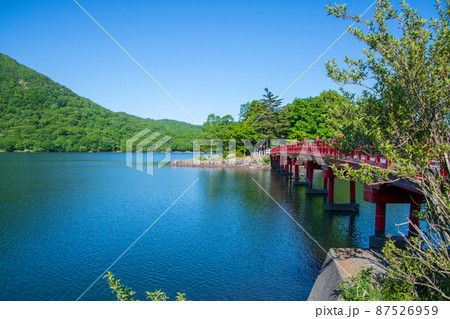 赤城大沼　湖畔　啄木鳥橋　初夏の風景　　　 87526959