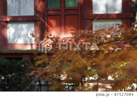 油山寺 油山寺 87527084