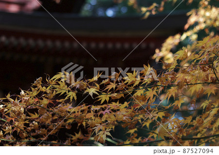 油山寺 油山寺 87527094