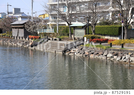 新川千本桜の碑　東京都江戸川区　 87529191