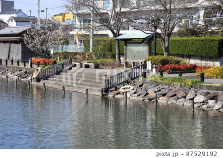新川千本桜の碑 東京都江戸川区 新川千本桜の碑 東京都江戸川区 87529192