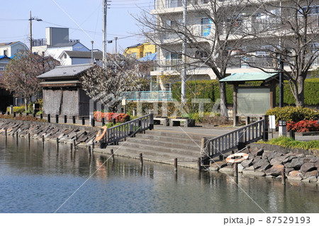 新川千本桜の碑　東京都江戸川区　 87529193