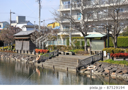 新川千本桜の碑　東京都江戸川区　 87529194