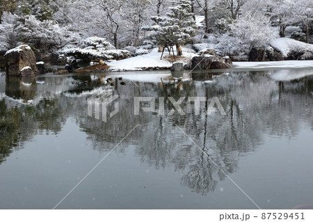 雪の降る日に薄氷の張った公園の池 雪の降る日に薄氷の張った公園の池 87529451