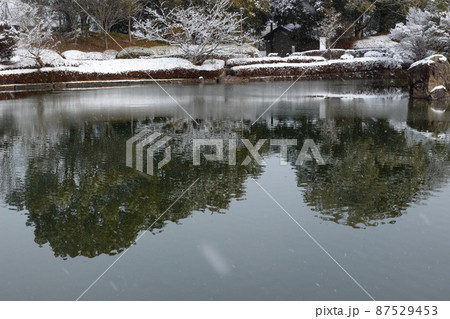 雪の降る日に薄氷の張った公園の池 雪の降る日に薄氷の張った公園の池 87529453