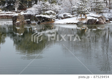 雪の降る日に薄氷の張った公園の池 87529454