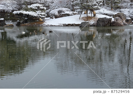 雪の降る日に薄氷の張った公園の池 雪の降る日に薄氷の張った公園の池 87529456
