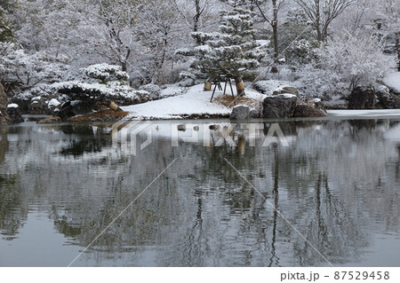 雪の降る日に薄氷の張った公園の池 雪の降る日に薄氷の張った公園の池 87529458