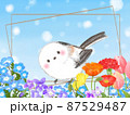 シマエナガ　雪の妖精　花（ネモフィラ、スミレ、ポピー、カーネーション、チューリップ） 87529487