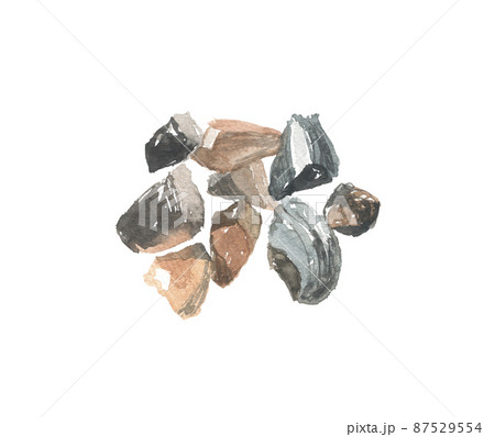 アセンヤク 阿仙薬 アセンヤク 阿仙薬 87529554