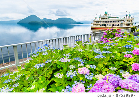 北海道　洞爺湖　～花咲く夏の湖畔～ 87529897