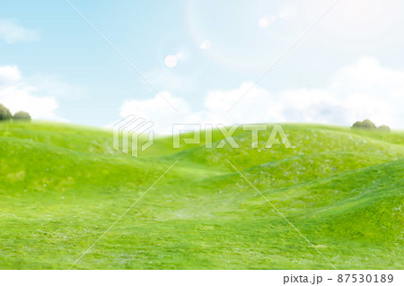 Green field with blue sky 87530189