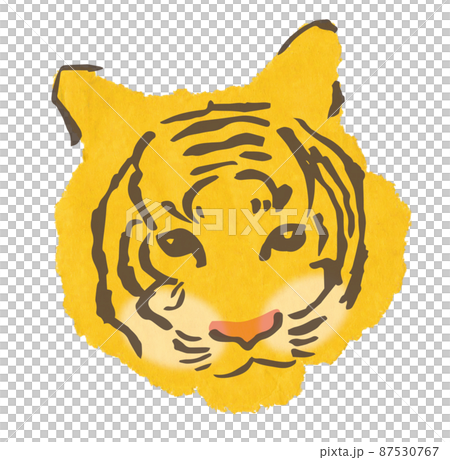 Tiger illustration 87530767