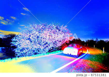 夜桜 夜桜 87531381
