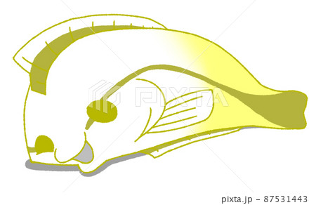 横になって脱力するホンソメワケベラ（黄色） 87531443