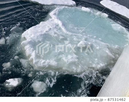 オホーツク海クルージングでの流氷 87531462