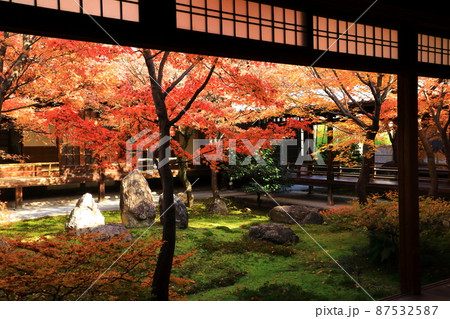 建仁寺　潮音庭の紅葉 87532587