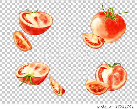 手繪水彩番茄插畫點線集 87532748