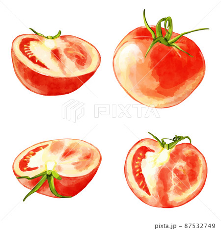 手描き水彩のトマトイラストセットのイラスト素材
