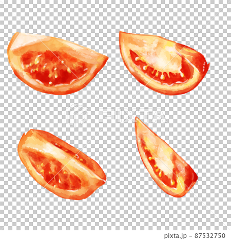 手繪水彩梳剪番茄插圖集 87532750