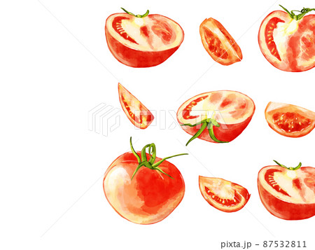 手描き水彩のトマトイラスト長方形フレーム 右のイラスト素材