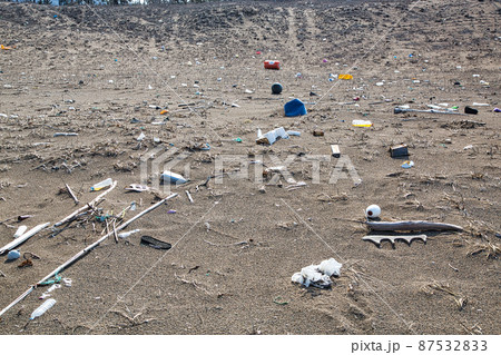 海洋汚染（鷹巣海水浴場） 87532833