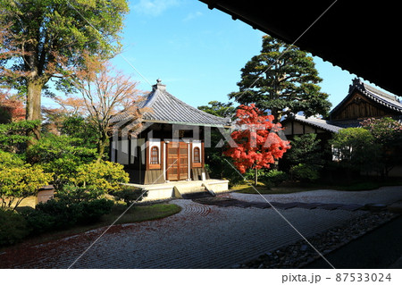 建仁寺　紅葉景色 87533024