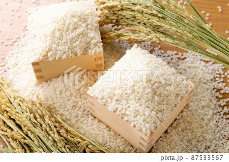 お米 新米 お米 新米 87533567