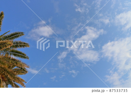 フェニックス　青空　雲 87533735