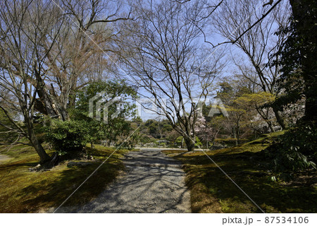 京都仙洞御所 南池 京都仙洞御所 南池 87534106