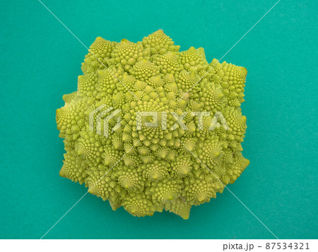 ロマネスコ 87534321