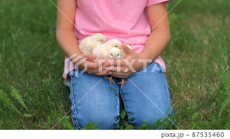 Cute Little Girl Sitting on a Grass and Holding Baby Chicks in Hands 87535460