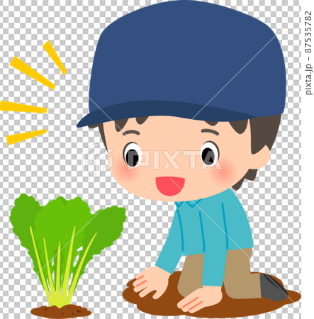 畑で作業する男性と作物 畑で作業する男性と作物 87535782