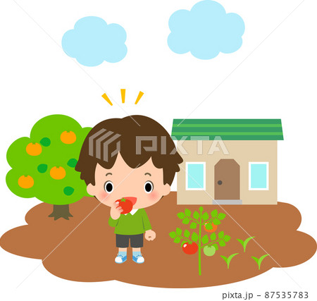 トマトを食べる男の子と畑 トマトを食べる男の子と畑 87535783