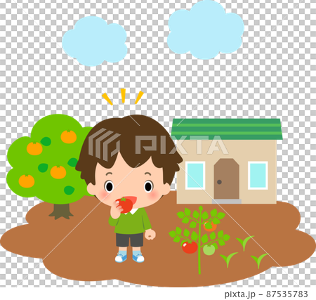 トマトを食べる男の子と畑 トマトを食べる男の子と畑 87535783