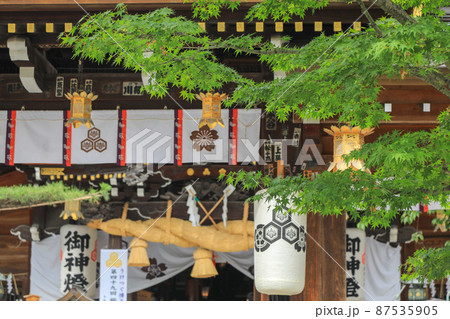 博多総鎮守　櫛田神社 87535905