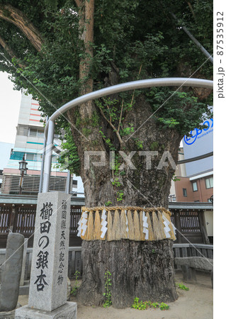 博多総鎮守 櫛田神社 博多総鎮守 櫛田神社 87535912
