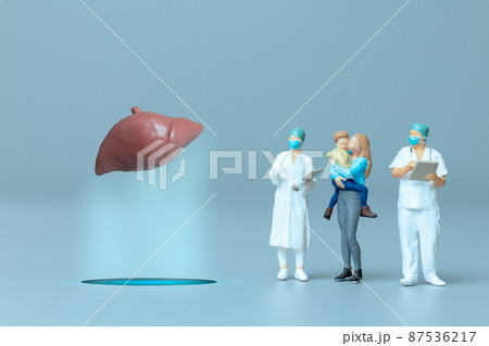Doctor studying and treating human Liver , World Health Day concept Doctor studying and treating human Liver , World Health Day concept 87536217