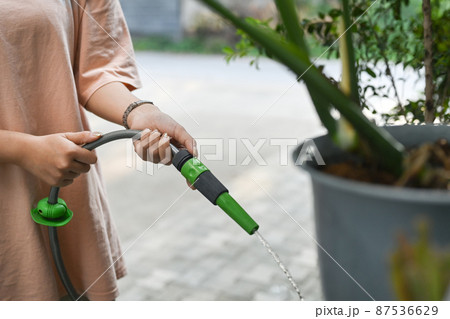 Female watering plants in the garden with hose. Gardening, hobby, domestic life concept. 87536629