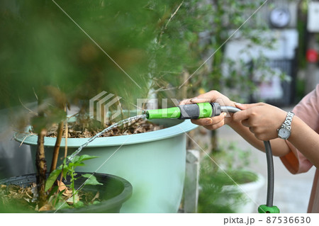 Young woman holding hose and watering plants in garden. Gardening, hobby, domestic life concept. Young woman holding hose and watering plants in garden. Gardening, hobby, domestic life concept. 87536630