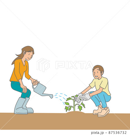 野菜の苗を植える夫婦のイラスト素材
