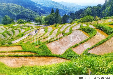 【島根県】室谷の棚田 87536788
