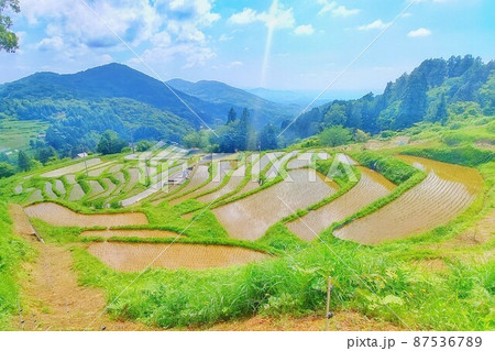 【島根県】室谷の棚田 87536789